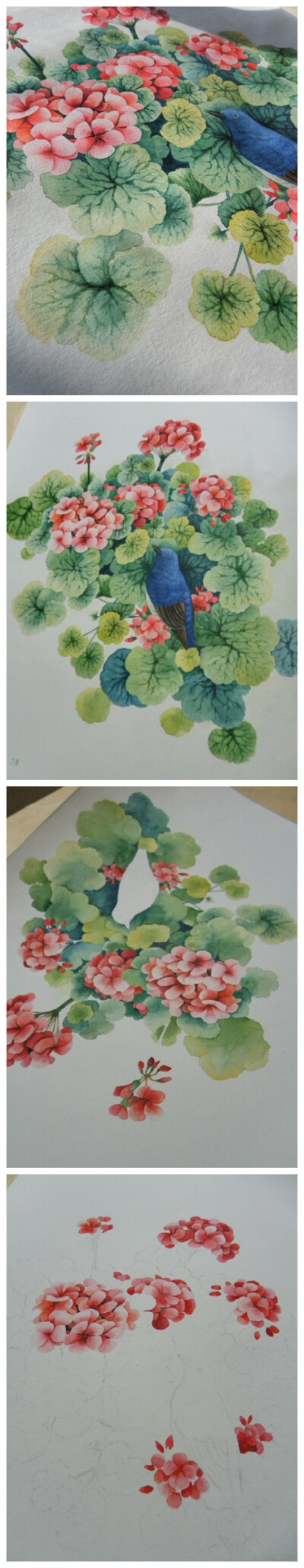 花的姿态