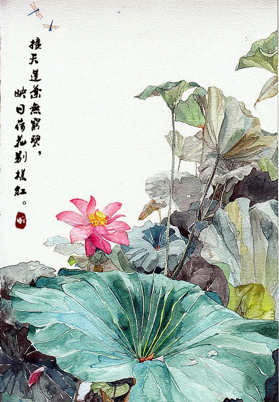 荷花 作者: 阿昕 - 涂鸦王国