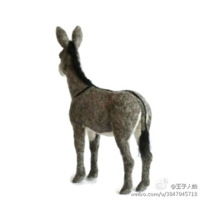 Teresa Perlenerg's lifelike woolfelted animals.Teresa Perlenerg栩栩如生的动物羊毛毡手做。