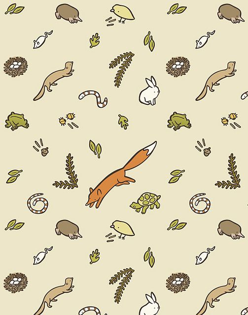 cuddlefish press / erica sirotich