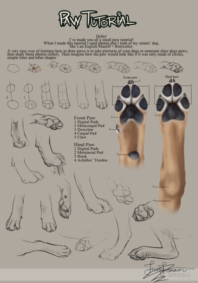 Paw Tutorial 2012 by ~Spike654 on deviantART