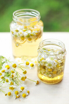 Chamomile Flower Wine