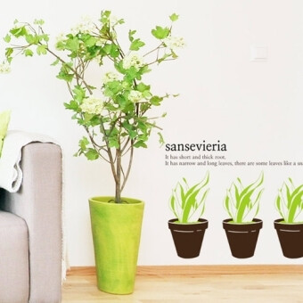 sansevieria 虎尾兰花清新绿色植物阳台办公室墙角贴纸 韩版墙贴