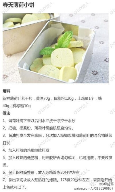 【薄荷的9款不同做法合集】小清新薄荷，小清新饮品~