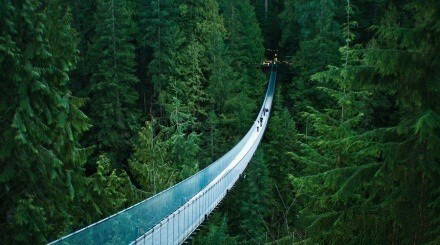 世界最长最高的步行天桥——温哥华卡普兰奴吊桥，想不想去走走~