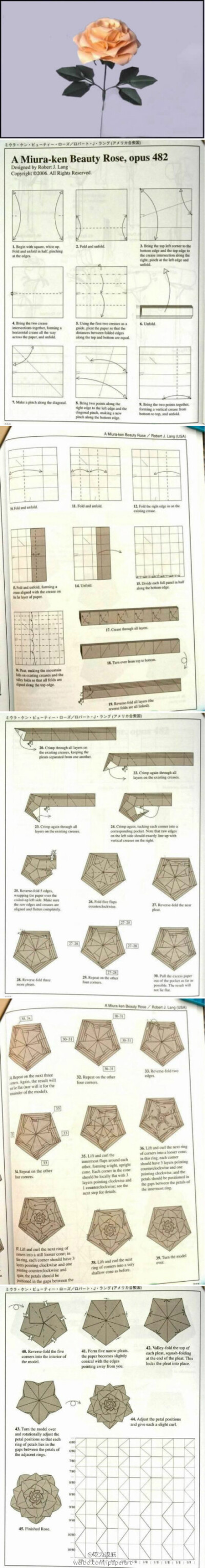 #折纸教程# 昨天转发的GIF的玫瑰，小编未能找到教程，但找到这朵月季教程，有异曲同工之妙~