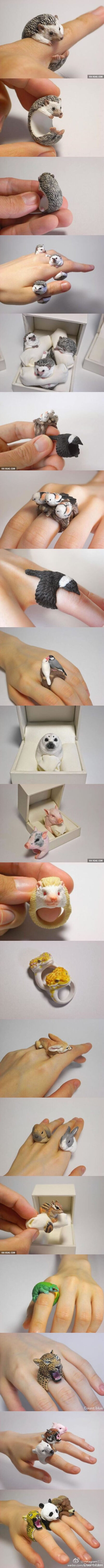 由日本设计师三浦次郎设计的动物戒指 简直棒极了