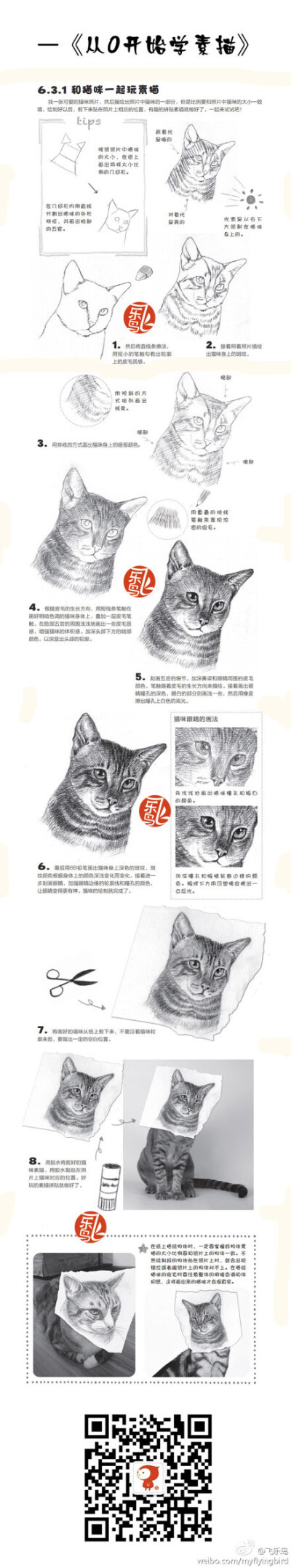 【绘画教材】猫咪的画法，非常赞推荐给大家~ 作者：飞乐鸟 友情推荐 @绘画圣地网 @涂鸦王国 @明天教室原画培训 @jeanne_资料整理库 @木子翔Lix @痕迹画廊 @CG硬克美术资源网 @火神CG工场