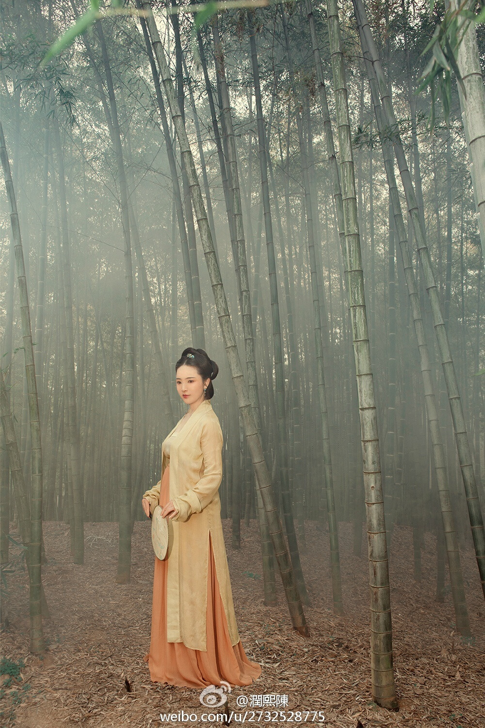汉服——【陳先生的復古照相館】為寧波王女士 於杭州拍攝的宋仕女