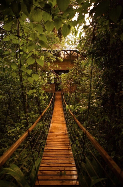 在哥斯达黎加的热带雨林里,隐藏着一幢幢名叫Finca Bellavista造型别致的小木屋。它们栖身在高大的树木枝干上,被浓荫遮蔽。有门有窗还家具齐全，就像是雨林里的精灵们的住所。这一片树屋里有常住居民，也招待游客，就…