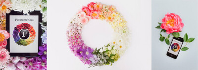 flower wheel photos by Annabella Charles