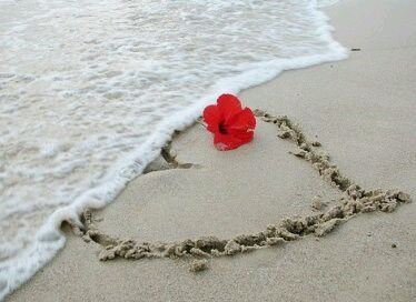 黑暗里的一朵花