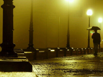 渴望雨夜有人陪