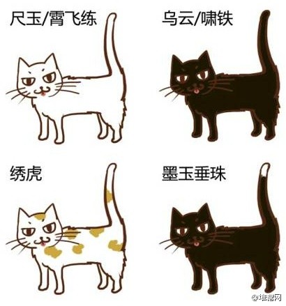 中国传统猫咪雅称，取名无能星人们，快来给自己喵大人取个高大上的名字。（来自：@黑留袖 ）