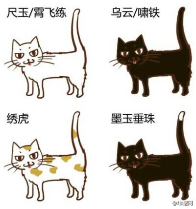 中国传统猫咪雅称，取名无能星人们，快来给自己喵大人取个高大上的名字。（来自：@黑留袖 ）