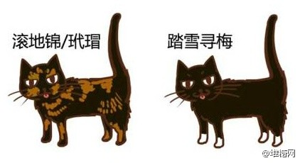 中国传统猫咪雅称，取名无能星人们，快来给自己喵大人取个高大上的名字。（来自：@黑留袖 ）