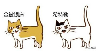 中国传统猫咪雅称，取名无能星人们，快来给自己喵大人取个高大上的名字。（来自：@黑留袖 ）