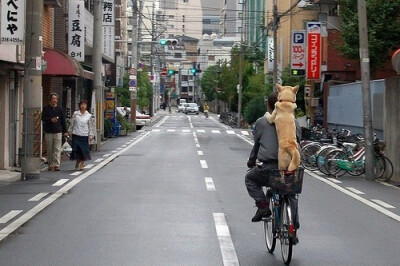 街道，人，狗