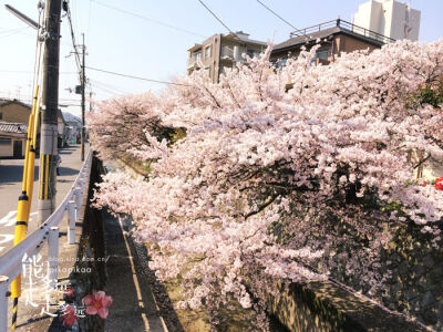 银阁寺