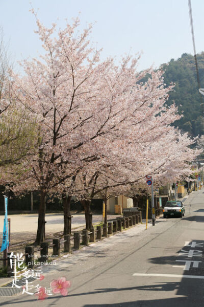 银阁寺