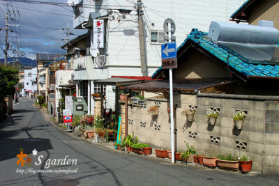 京都印象－街道园艺