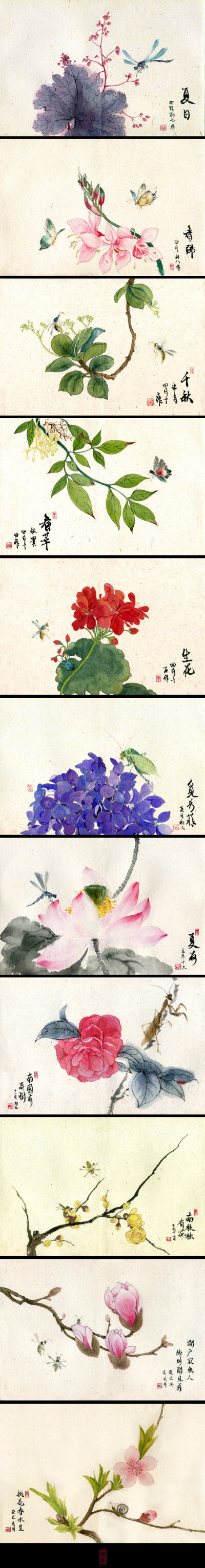 觅芳菲——桃花春水生