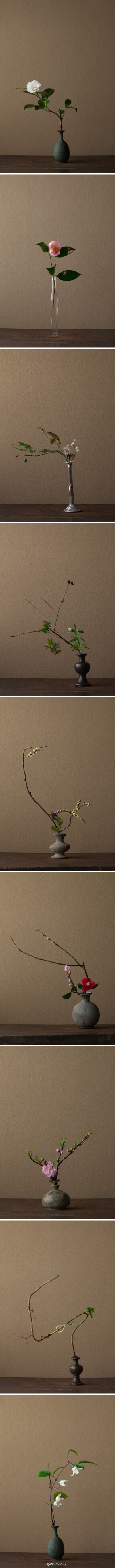漢品雜誌: 我们现在称之为日式插花，日语华道，ikebana，其实源自中国唐朝佛堂供花，是地道＂汉品＂。但是我们丢了，在日本光大，汉品杂志会在某期做这个专题