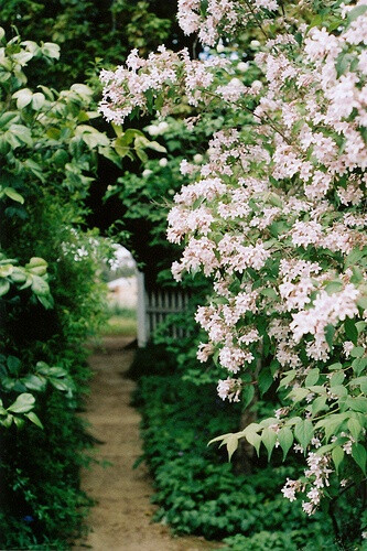 乡村花园小路