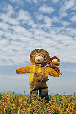 摄影插画风景唯美稻草人赞评论2更多所有评论你也来说些什么吧