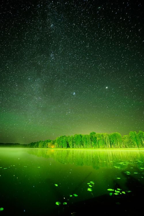 图片:仰望星空 (3)