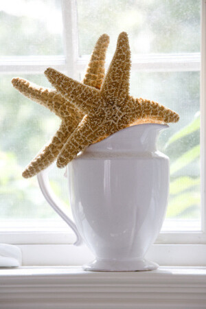 与众不同的感觉高清图片（2）