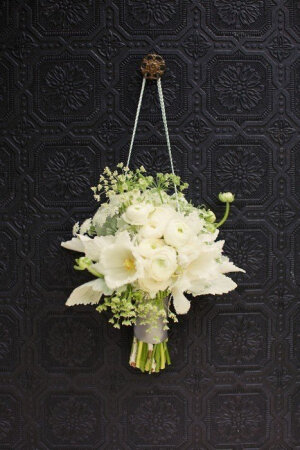 与众不同的感觉高清图片（14）