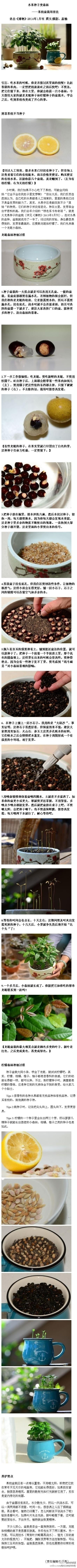 【吃完果核不要扔，你能用它收获一片森林】这次教你用龙眼和柠檬的种子种出微型的盆栽！（选自《博物》2014年1月刊）