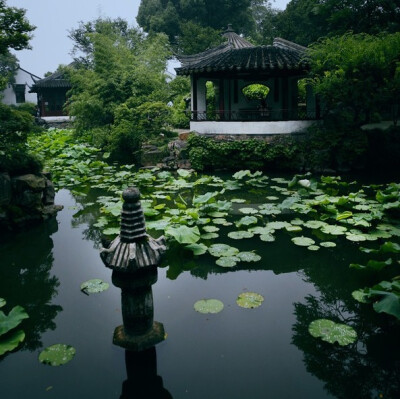 【美丽的中国】寂寞其实更应是一朵开放在心灵深处最美丽的花，扎根于孤独的土壤，自我生发，自我妍丽