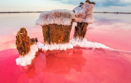 比天空之境更美 克里米亞粉紅色鹽湖?？死锩讈啺雿u位于黑海和亞速海之間，烏克蘭的南部。