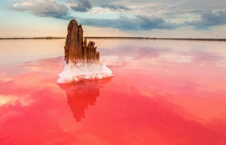 比天空之境更美 克里米亚粉红色盐湖。克里米亚半岛位于黑海和亚速海之间，乌克兰的南部。