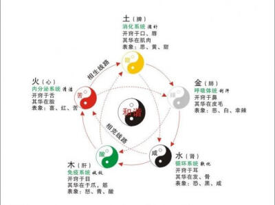 五行养生图图片