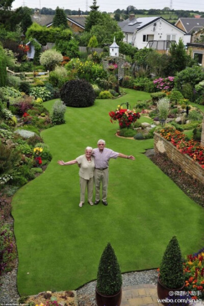 【即使是普通人，也可以把自家后院打造成高端洋气的园林景观】英国70岁的Stuart Grindle每天每周花费30个小时在花园里劳动，并持之以恒达30年，就可以将一个菜园变成眼前完美花园的秘诀。