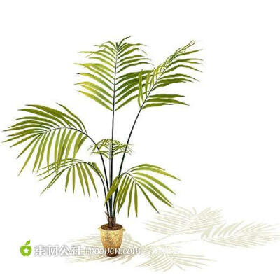 精致3D盆栽模型盆栽植物模型室内盆景