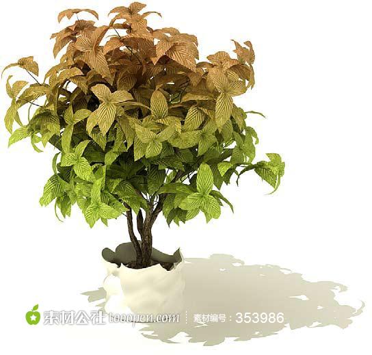 3d模型盆栽植物模型室内盆景绿色植物