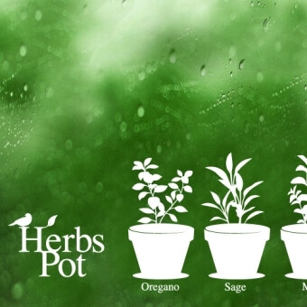 herbs2 盆栽植物贴纸 阳台玻璃门玻璃窗户装饰贴纸 韩版雅风墙贴