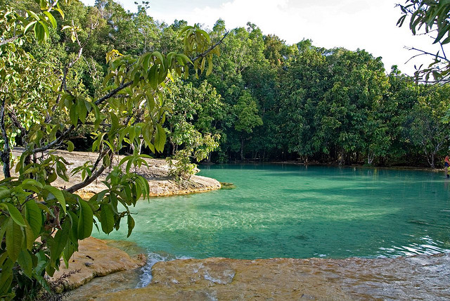 翡翠湖温泉是森林中的天然游泳池!