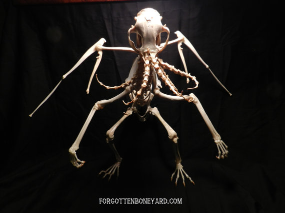 20&amp;quot; Cthulhu - One-of-a-Kind Piece made with Real Animal Bones