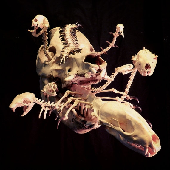 Infested - One-Of-A-Kind Art made with Real Bones