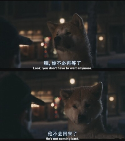 忠犬八公。