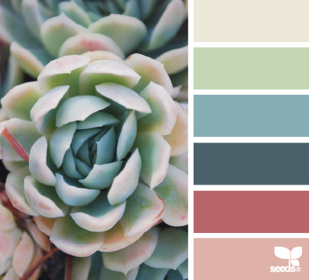 succulent tones