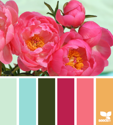 peony palette