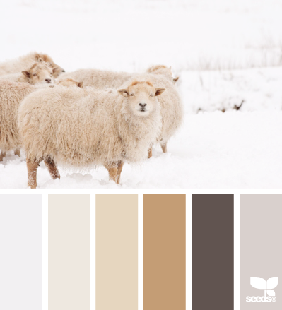 winter wool