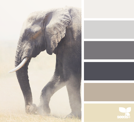 elephant tones