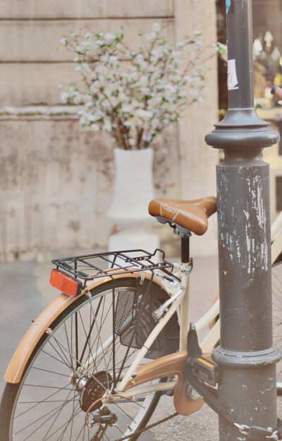| bicycleLOVE
